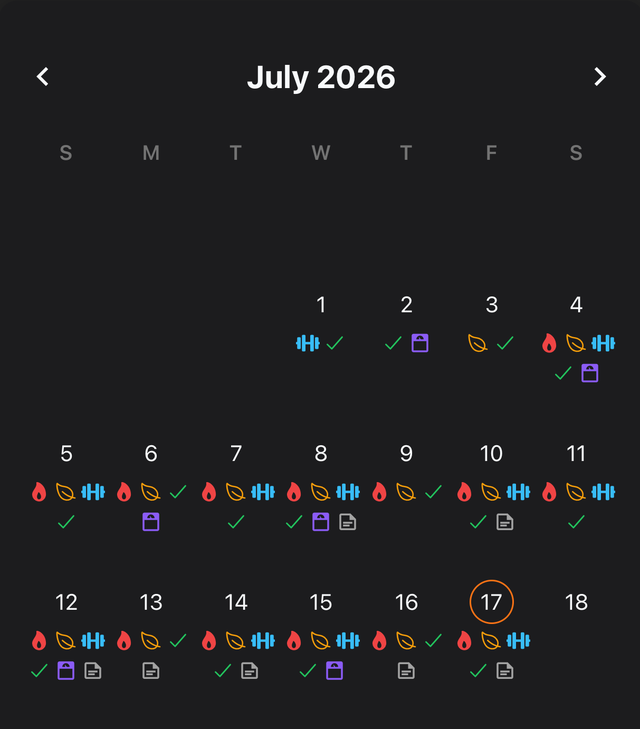 July calendar dense with fasting, meal, workout and habit icons on every tracked day